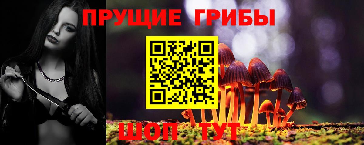 купить   Галлюциногенные грибы Psilocybe  Вход с VPN  Феодосия 